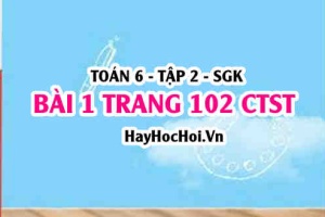 Giải bài 1 trang 102 Toán 6 Tập 2 Chân trời sáng tạo